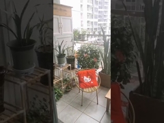 Thép không gỉ loại 316 với kẹp an toàn vượt trội cho lưới ban công vô hình