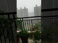 Nhà vô hình cố định an toàn grills chống rỉ sét dây cho an toàn trẻ em & thú cưng '