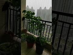 Không bị cản trở View ban công lưới điện với 100kg dung lượng ban công lưới điện vô hình