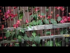 Xã hội hiện đại thiết kế ban công lưới ốp vô hình với dịch vụ đâm và dung lượng tải 100kg