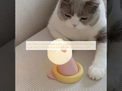 Cat Claw sáng tạo Night Light sạc USB quà sinh nhật dễ thương và dễ thương thực tế cô gái quà silicone Patting Light