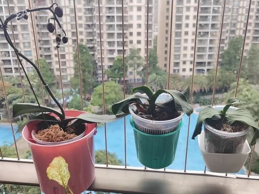Vỉ nướng vô hình Phụ kiện chậu hoa Kích thước trung bình Bền bỉ Hoàn hảo cho ban công Dây vỉ nướng vô hình