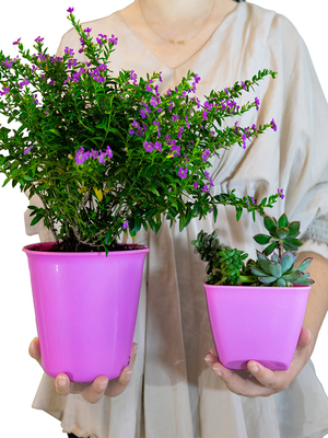 Cửa sổ không thể nhìn thấy Cửa sổ không thể nhìn thấy Cửa sổ không thể nhìn thấy Cửa sổ không thể nhìn thấy Cửa sổ không thể nhìn thấy Cửa sổ không thể nhìn thấy