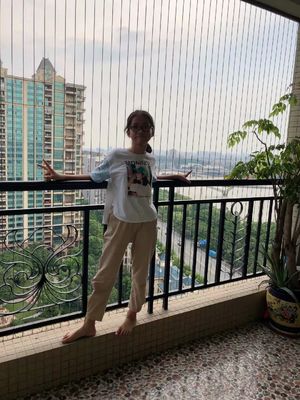 Aluminum Track Frame Balcony Safety Grill Cung cấp giải pháp bảo vệ 100kg dung lượng tải cho ban công trong các tòa nhà thương mại