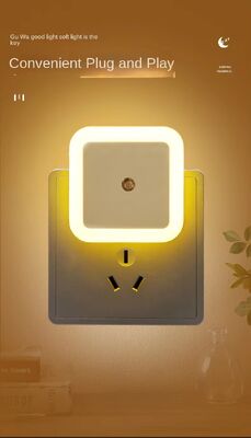 Indoor Plug In Night Light Lamp Power Source Plug In Lightweight