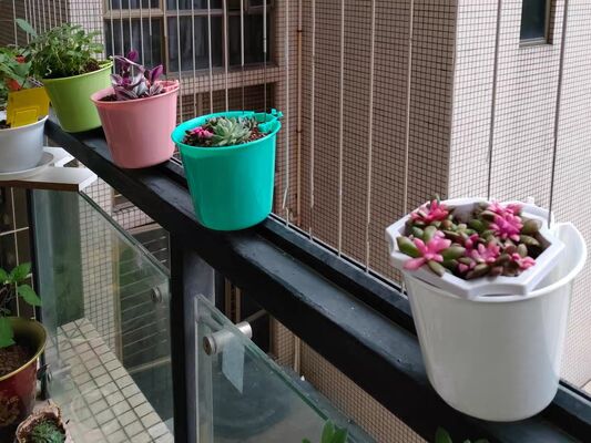 Kẹp chậu hoa lưới vô hình, kẹp dây 2.5mm, kẹp cố định 2.0mm cho lưới công nghiệp và các dự án lắp ráp